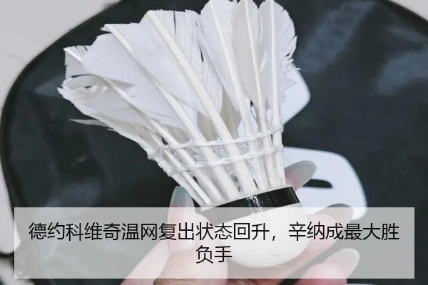 de-yue-ke-wei-qi-wen-wang-fu-chu-zhuang-tai-hui-sheng-xin-na-cheng-zui-da-sheng-fu-shou-2-605.jpg